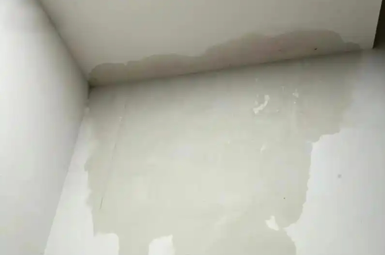 專業(yè)房屋漏水檢測服務(wù)